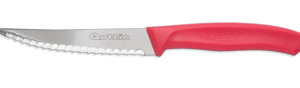 Cuchillo Pelador de Sierra de la serie Eco de Wüsthoff 10cm